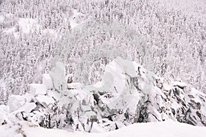 Winter landscape with snow covered rock cliff on slope. Coniferous forest after snowstorm. Wood in ice