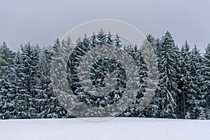 Winter landscape with snow covered trees in Black Forest, Germany