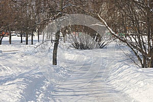 Winter landscape with snow-covered trees in the city park in sunny day.