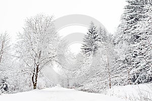 Winter landscape with snow-covered trees on the mountain road. Sudetes covered with white snow