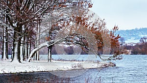 Winter landscape with snow-covered trees near the river