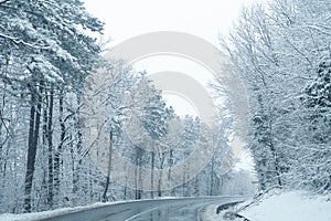Winter landscape with snow-covered trees and road