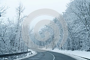 Winter landscape with snow-covered trees and road