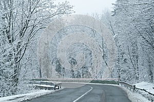 Winter landscape with snow-covered trees and road