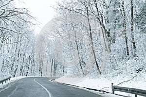 Winter landscape with snow-covered trees and road