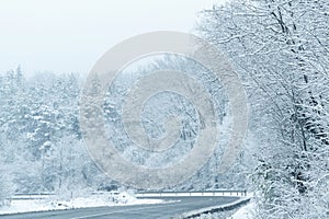 Winter landscape with snow-covered trees and road