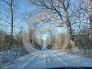 Winter landscape with snow covered trees