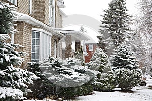 Winter landscape at Snow day, Canada