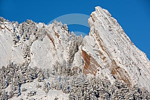 Snow Flocked Flatirons and Conifers
