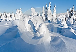Winter landscape of snow ghosts - Harghita madaras