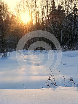 Winter landscape of snow lit by sunset penetrating through trees