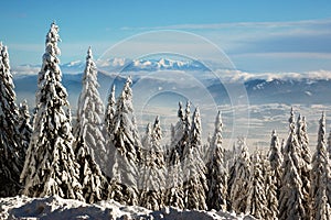 Winter landscape with snow in mountains