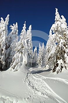 Winter landscape with snow in mountains