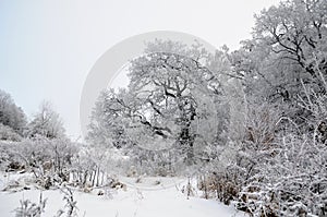 Winter landscape with snow in mountains