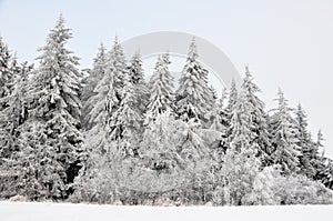 Winter landscape with snow in mountains