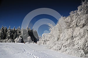 Winter landscape with snow in mountains