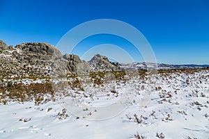 Winter landscape with snow photo