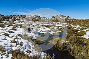 Winter landscape with snow photo