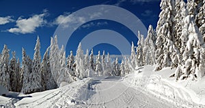 Winter landscape with snow in mountains, Slovakia