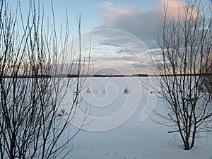 Winter landscape in snow nature with tree