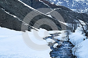 Winter Landscape With Snow