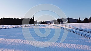 Winter Landscape with snow in pine tree forest. Christmas time