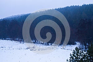 Winter landscape with snow and trees