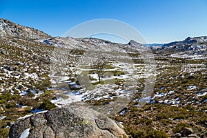 Winter landscape with snow photo