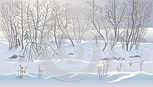 Winter landscape with snowdrifts and forest trees