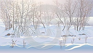 Winter landscape with snowdrifts and forest trees photo