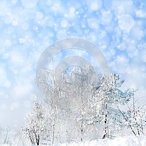 Winter landscape with snowfall