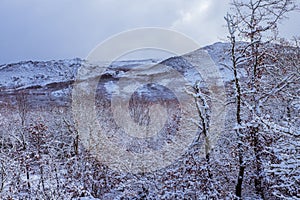 Winter landscape and snowfall in Baixa Limia Serra do Xures. Province of Ourense. Galicia, Spain photo