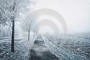 winter landscape with snowfall and fog photo