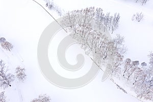 Winter landscape after snowfall with trees and frozen river. aerial photo