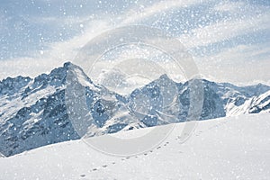 Winter landscape with snowflakes