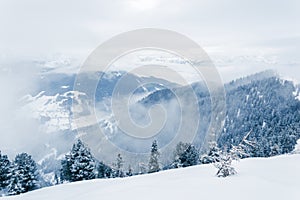 Winter landscape with snowy forest and foggy mountains in Schmittenhohe, Zell am See, Austrian Alps