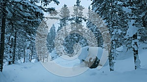 Winter landscape snowy mountain forest in snowstorm. Road for snowmobiles among snow-covered firs. Winter Russia