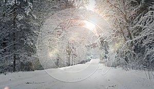 Winter landscape with snowy road and mist.