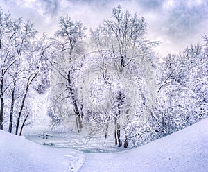 Winter landscape with snowy trees along the winter park - winter snowy scene in vintage tones