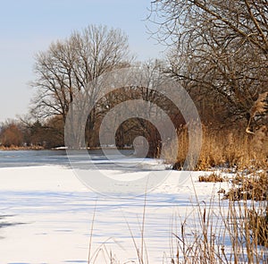 Winter landscape with snowy trees, beautiful frozen river and bushes at sunset. Winter forest. A colourful sky. Water in motion.