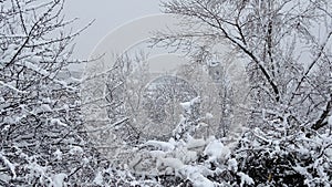 Nevoso alberi un Chiesa 