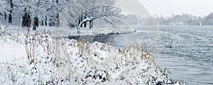 Winter landscape with snowy trees in the forest near the river