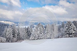 Winter landscape with snowy trees and mountains at sunny day