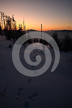 Winter landscape of a snowy winter path with footprints on it. Season of winter tourism