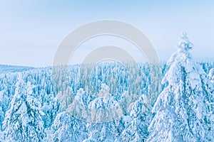 Winter landscape from Sotkamo, Finland.