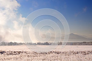 Winter landscape with spectacular heavy fog above bare trees behind field covered with frozen dry grass during sunrise