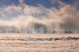 Winter landscape with spectacular heavy fog above bare trees behind field covered with frozen grass under blue sky during sunrise