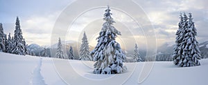 Winter landscape. Spectacular panorama is opened on mountains, trees covered with white snow, lawn and blue sky with clouds