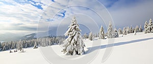 Winter landscape. Spectacular panorama is opened on mountains, trees covered with white snow, lawn and blue sky with clouds