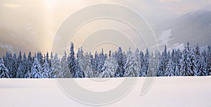Winter landscape. Spectacular panorama is opened on mountains, trees covered with white snow, lawn and blue sky with clouds